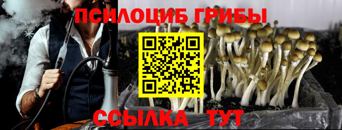 Звенигород  Галлюциногенные грибы GOLDEN TEACHER  Вход с VPN 